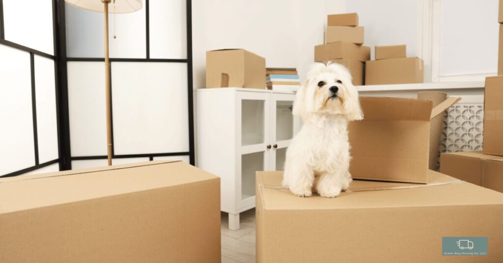 How many boxes do you need to move
